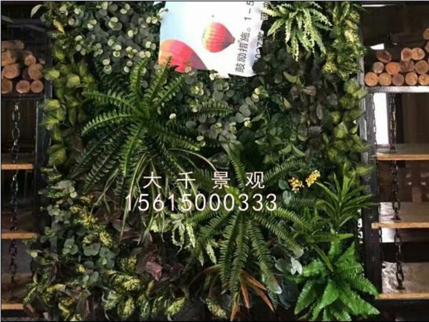 點擊查看詳細信息<br>標題：綠植墻 閱讀次數：1390