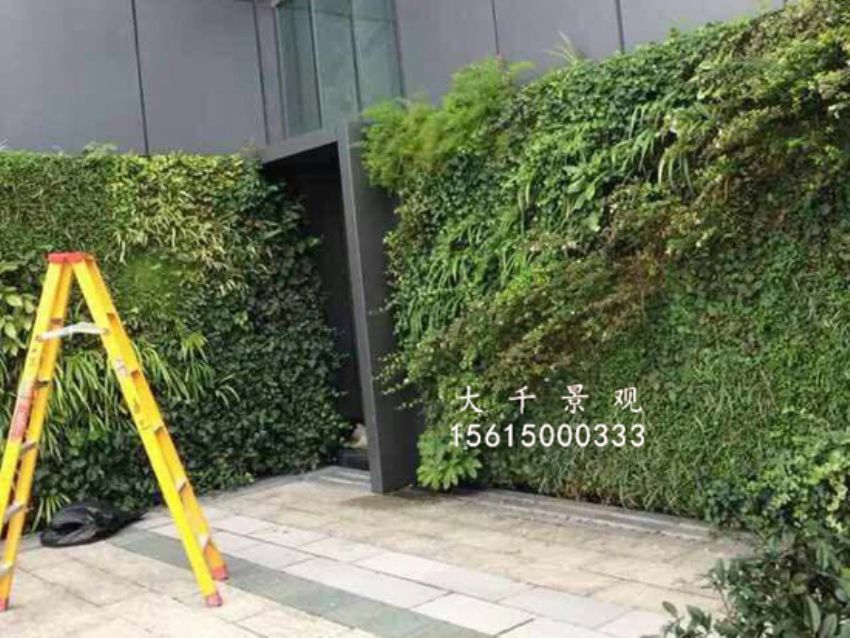點擊查看詳細信息<br>標題：綠植墻 閱讀次數：1517