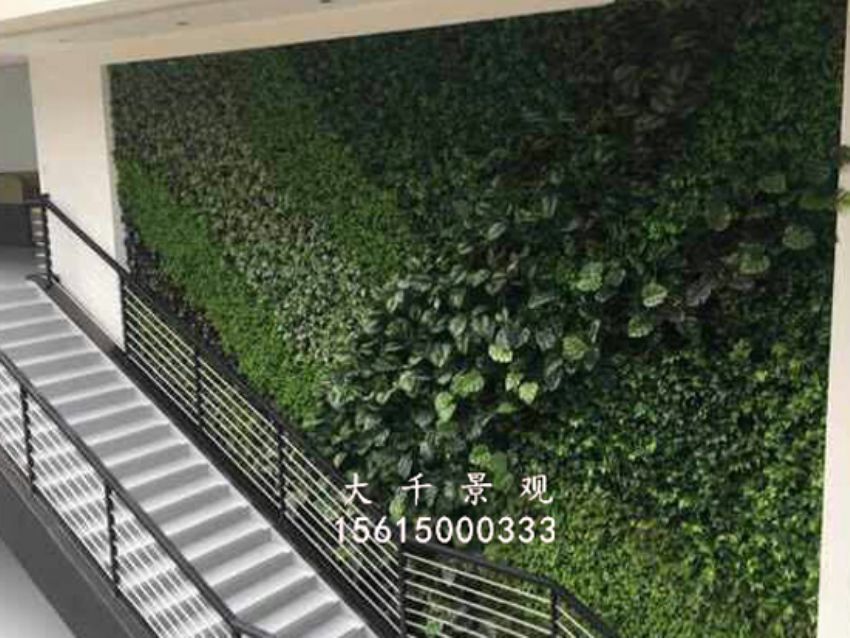 點擊查看詳細信息<br>標題：綠植墻 閱讀次數：1670