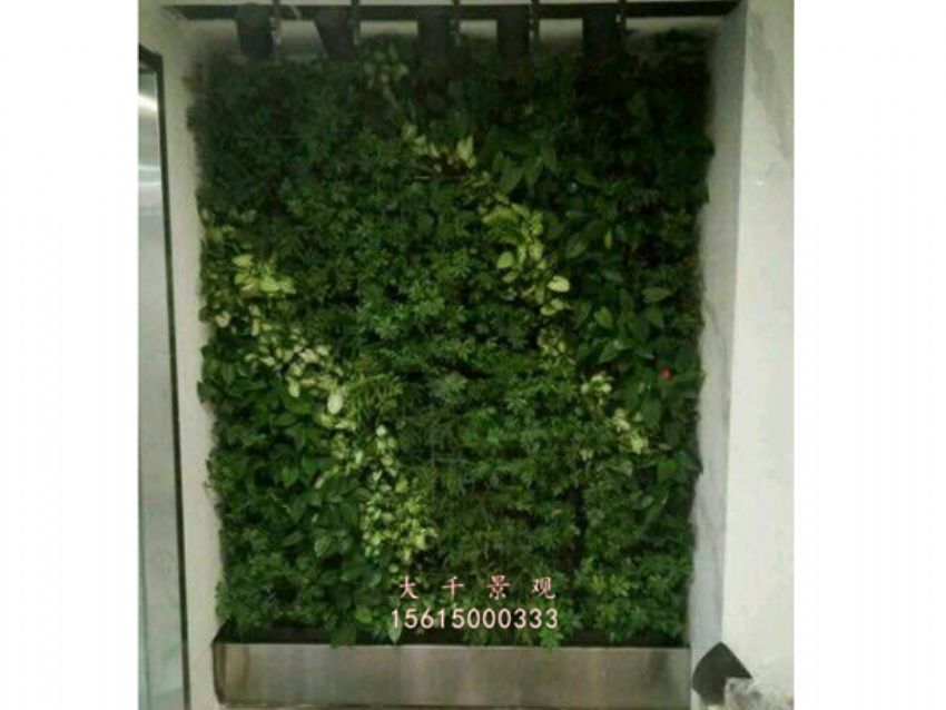 點擊查看詳細信息<br>標題：綠植墻 閱讀次數：2090