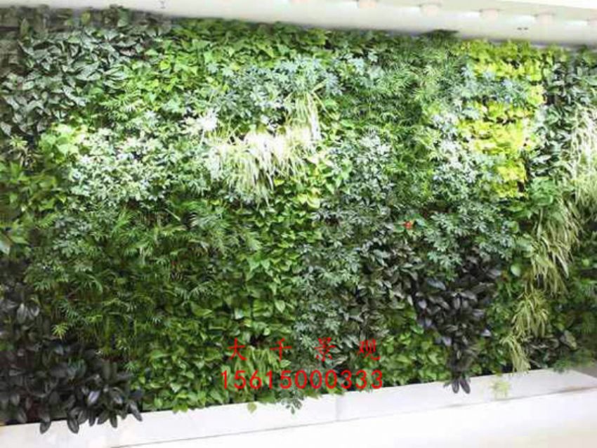 點擊查看詳細信息<br>標題：綠植墻 閱讀次數：2391