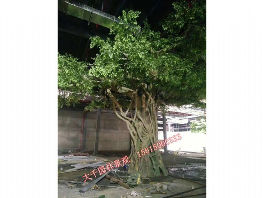 點(diǎn)擊查看詳細(xì)信息<br>標(biāo)題：假樹 閱讀次數(shù)：2366