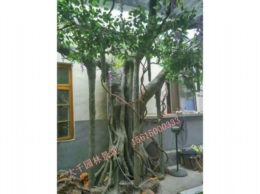 點(diǎn)擊查看詳細(xì)信息<br>標(biāo)題：假樹 閱讀次數(shù)：2412
